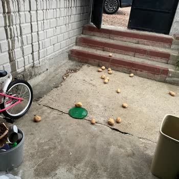 BİM De Manav Poşetleri Yırtılıyor