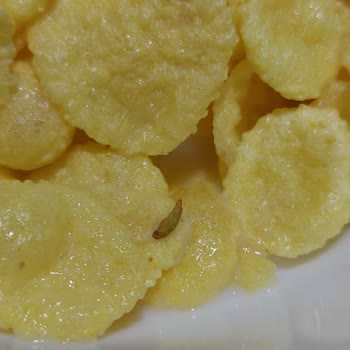 Kellogg's Mısır Gevreği Kurtlu