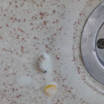 SuperFresh Mısırdan Kurt Çıkması