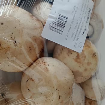 İstegelsin Bozuk Ürün Gönderildi