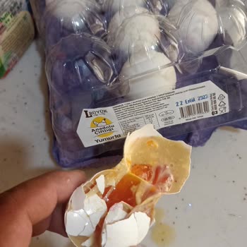 Şok Market Çürük Yumurta