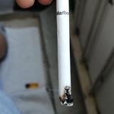 Philip Morris Sigara Değil #kütük