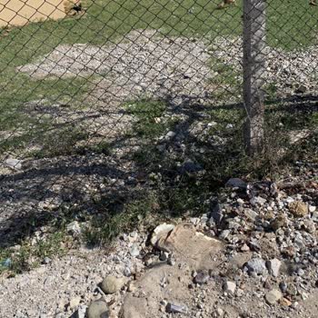 Kocaeli Belediyesi'nin Evimizin Önündeki Pislikleri Temizlememesi