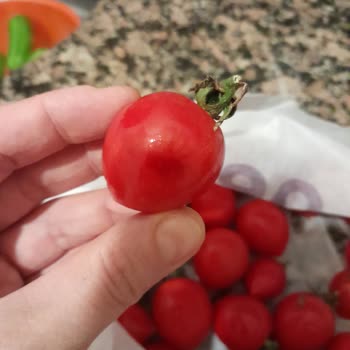 Getir Bir Mutluluk Değil Mutsuzluk Oldu