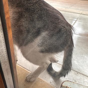 İBB - İstanbul Büyükşehir Belediyesi Tepeören Belediyesi Şaibesi