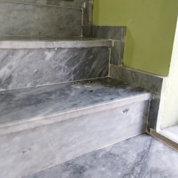 Diyanet İşleri Başkanlığı Cami Temizliği Sorunu