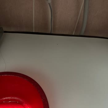 Bosch Servis Kurulum Hatası Yüzünden Mutfak Mobilyam Patladı