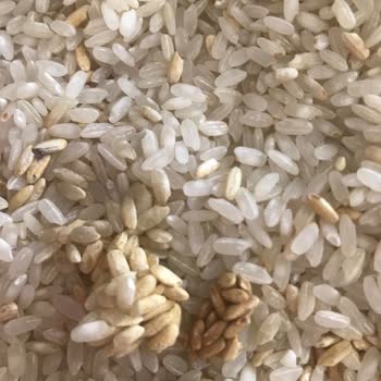 Tat Gıda Tat Osmancık Pirinç Bozuk Çıktı.