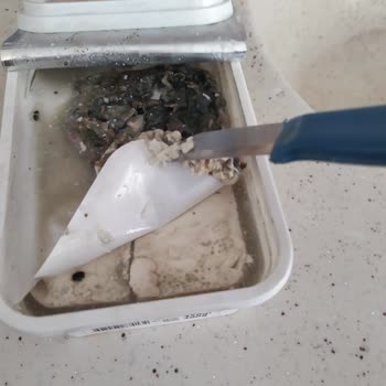 Ekici Peynir Peynirde Bakteri Oluşmuş