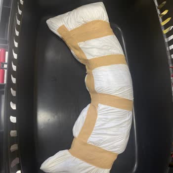 Orca Veteriner Kliniği İnegöl Koruk Tedavisi Sonu Hüzün