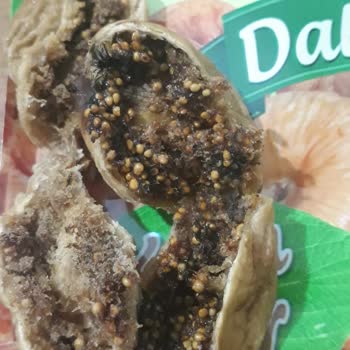 Amigo İncirin İçinde Güve Oluşumu