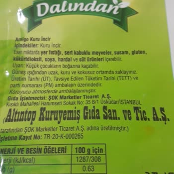 Amigo İncirin İçinde Güve Oluşumu