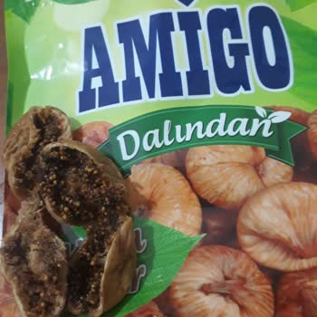 Amigo İncirin İçinde Güve Oluşumu