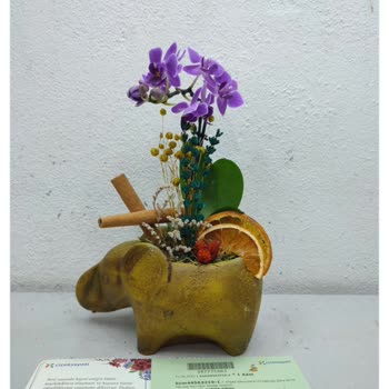 Çiçek Sepeti Bayisi Ürünümü Kırık Teslim Etti