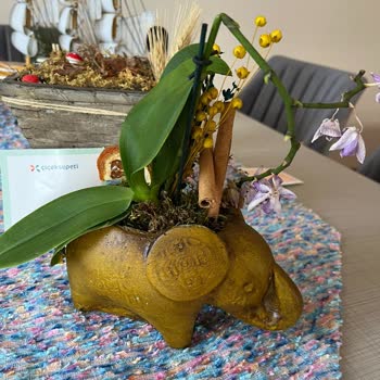 Çiçek Sepeti Bayisi Ürünümü Kırık Teslim Etti