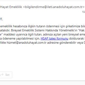 Anadolu Hayat Emeklilik Otomatik Katılım BES'ten Çıkış İşlemi Sorunu