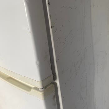 Vestel Buzdolabı Pişmanlıktır