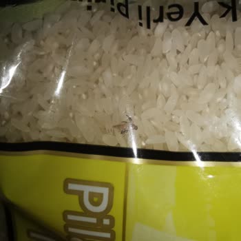 Şok Marketler Zinciri Anadolu Mutfağı Ürünlerinde Sorun Var Böcek Var