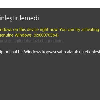 Sağlam Lisans Ürün Etkinleşmedi, Para İadesi Veya Yeni KEY İstiyorum
