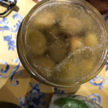 Franke Buzdolabı Buzlanma Yapması