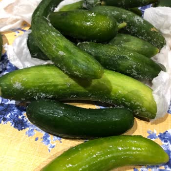 Franke Buzdolabı Buzlanma Yapması