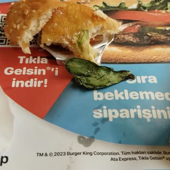 Burger King Çürük Gıda, Burgerin İçindeki Marul Çürüktü!