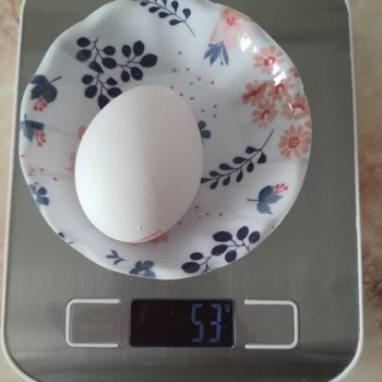 Duru Yumurta'nın Gram Oyunu