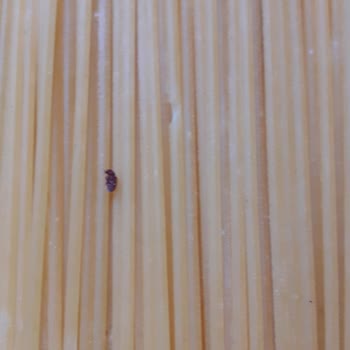 Barilla Marka Spagetti Makarna