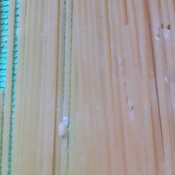 Barilla Marka Spagetti Makarna