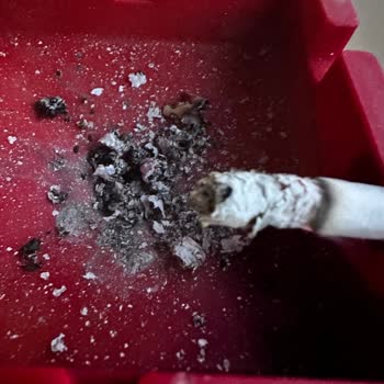 Marlboro Red Long İçinden Dal Parçası Çıktı