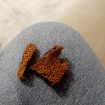 Lays Paketten Çıkan Garip Madde!