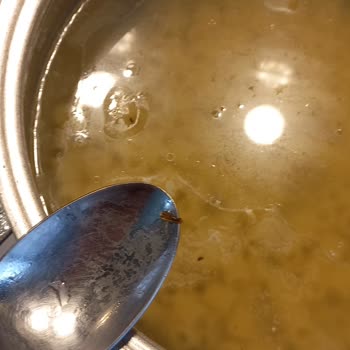 Pastavilla Makarnada Böcekler Bulundu
