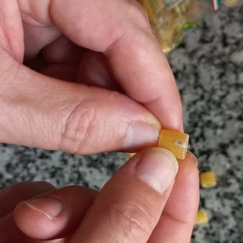 Pastavilla Makarnada Böcekler Bulundu