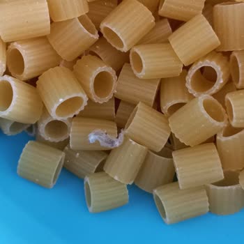 Pastavilla Makarnada Böcekler Bulundu