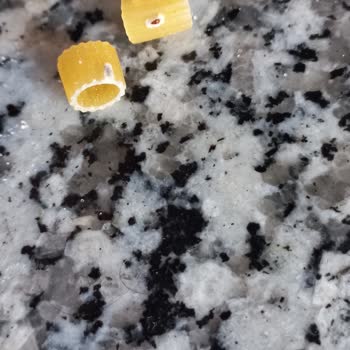 Pastavilla Makarnada Böcekler Bulundu