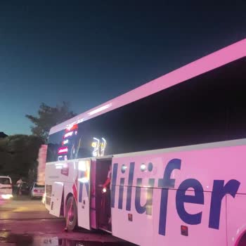 Nilüfer Turizm Yolda Kalma, İlgisizlik, Bilgi Verilmeme