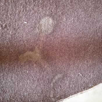 Sarımsaklı Club Ürgenç Hotel Memnun Kalmadım