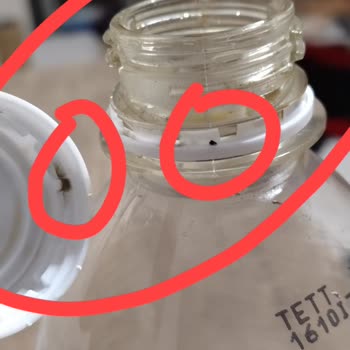 Pepsi Yağlı, Pis, Lekeli Kapak