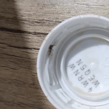 Pepsi Yağlı, Pis, Lekeli Kapak