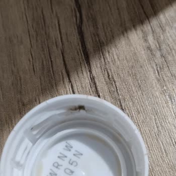 Pepsi Yağlı, Pis, Lekeli Kapak