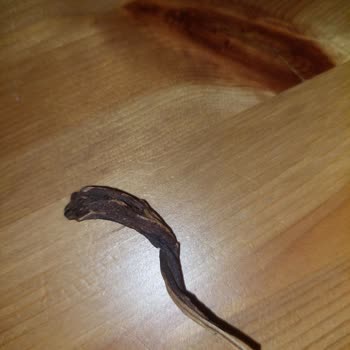 Harras Dakota Bilinmeyen Cisim