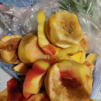 File Market'ten Aldığım Ürünler Bozuk Çıktı