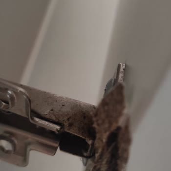 Ege Aydın Nakliyat Hasarlı Taşıdı