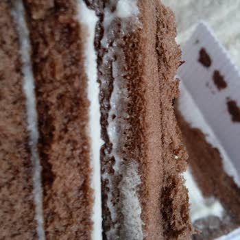 Elvan Gıda Küflenmiş Ce Kokmuş Kek