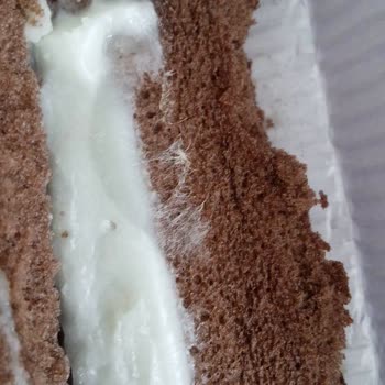 Elvan Gıda Küflenmiş Ce Kokmuş Kek