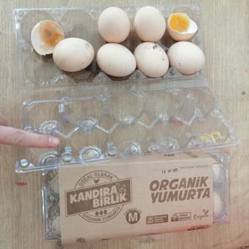 Hakmar Express Bozuk Yumurtayı İade Almadı