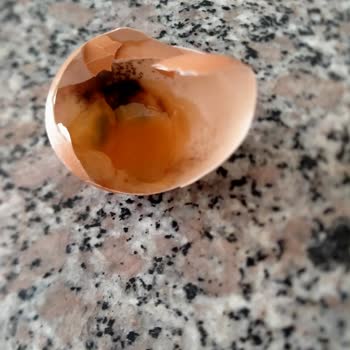 A101 Yumurta Bozuktu Siyah Bir Şeyler Çıktı İçinden