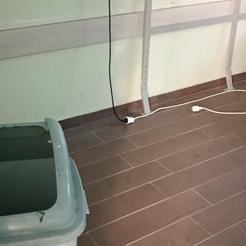 Milli Eğitim Bakanlığı (MEB) Okul Temizlik Ve Tadilat Sorunu