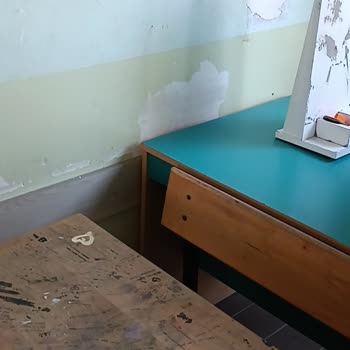 Milli Eğitim Bakanlığı (MEB) Okul Temizlik Ve Tadilat Sorunu