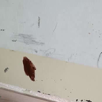Milli Eğitim Bakanlığı (MEB) Okul Temizlik Ve Tadilat Sorunu